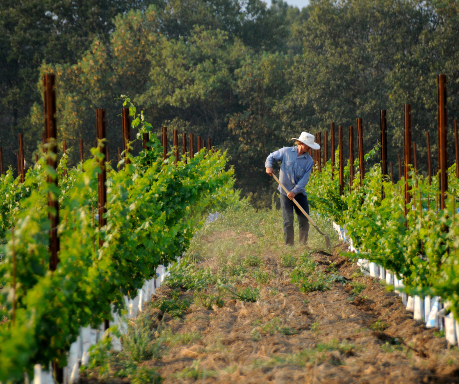 Liquor Industry News 10-12-25