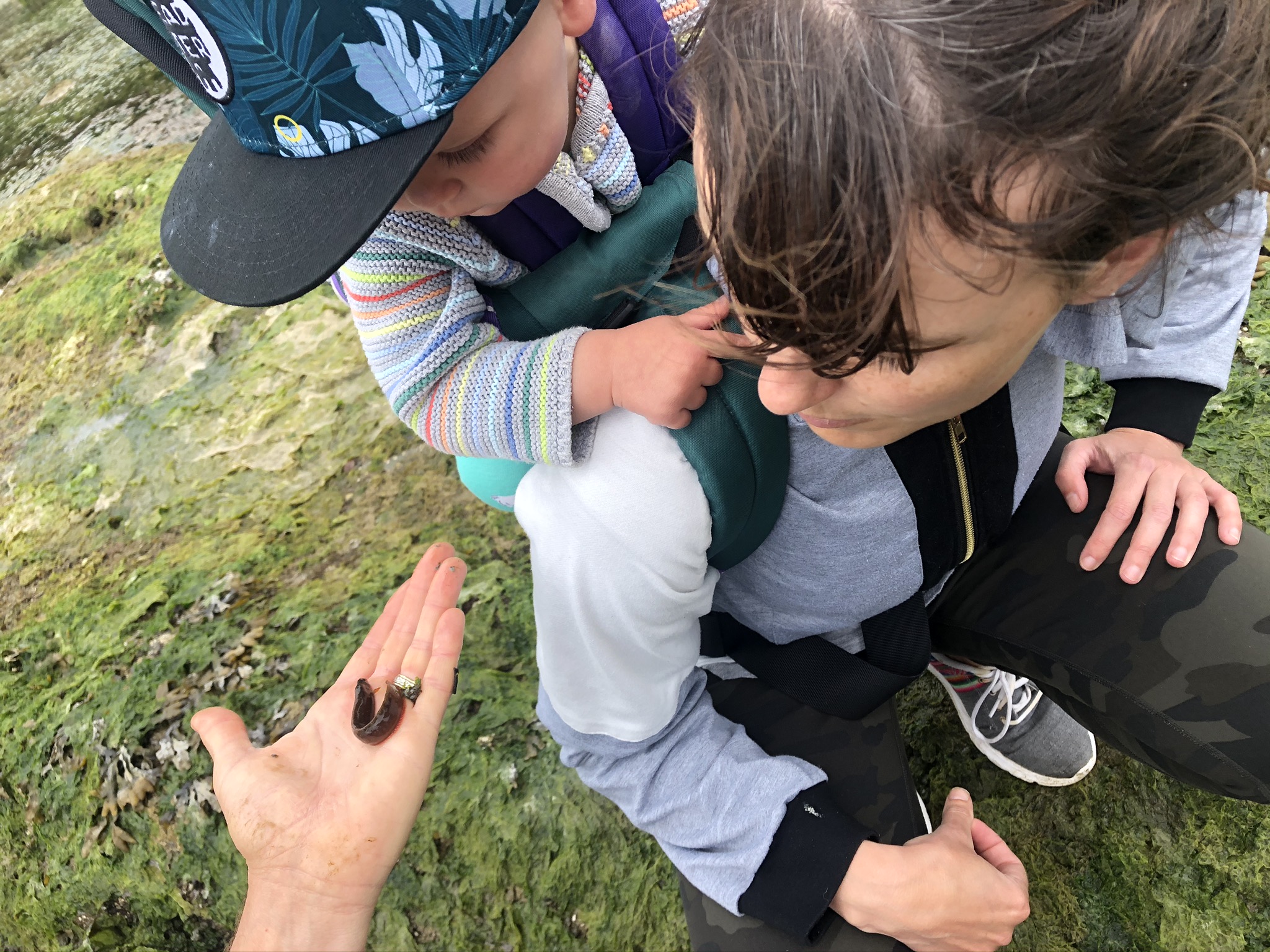 The Story Behind The Penny and Joe Podcast — How Two Sneaky Raccoons Took Over Our Storytime