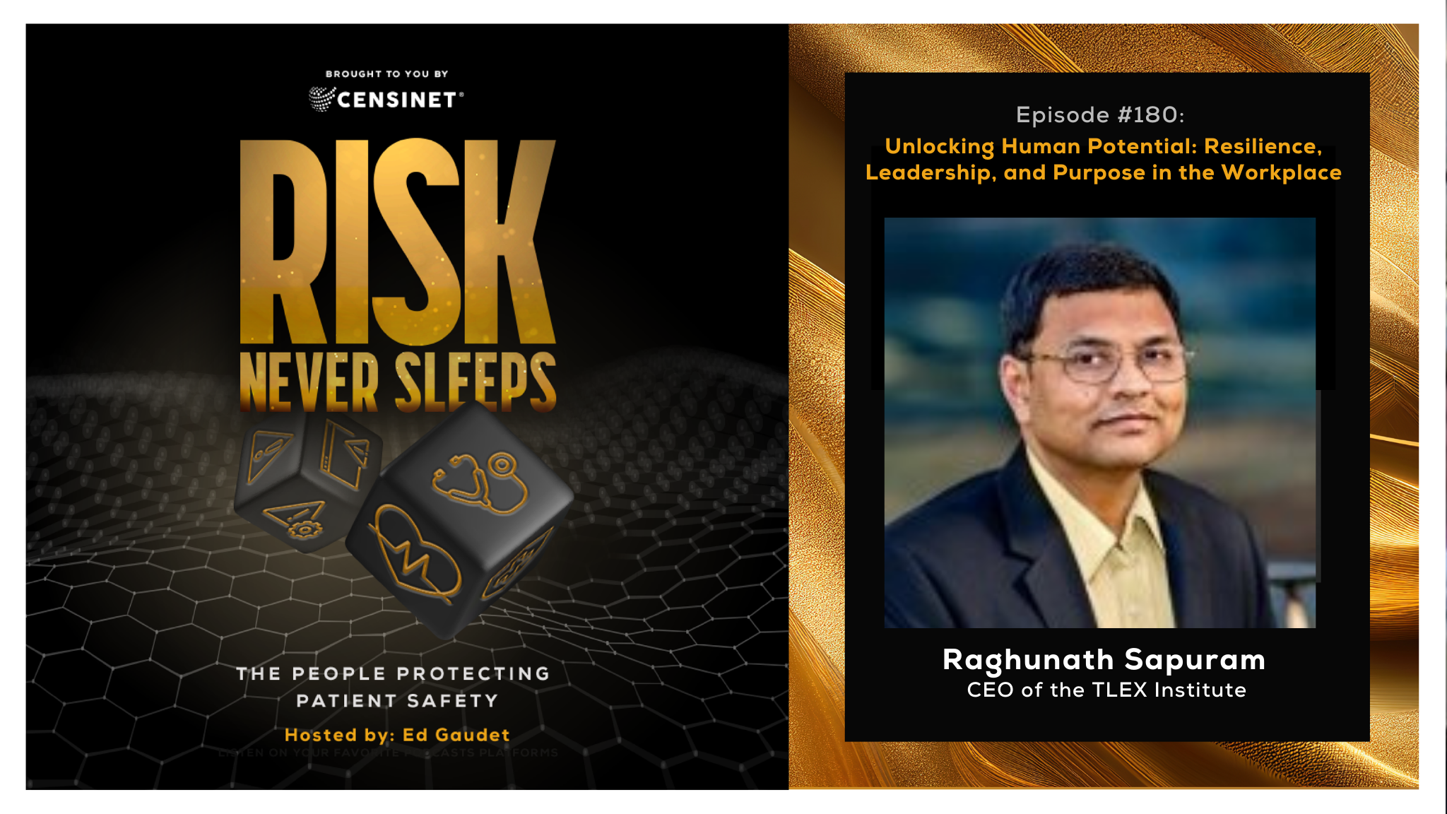 Episode #180. Unlocking Human Potential: Resilience, Leadership, and Purpose in the Workplace, with Raghunath Sapuram, CEO of the TLEX Institute