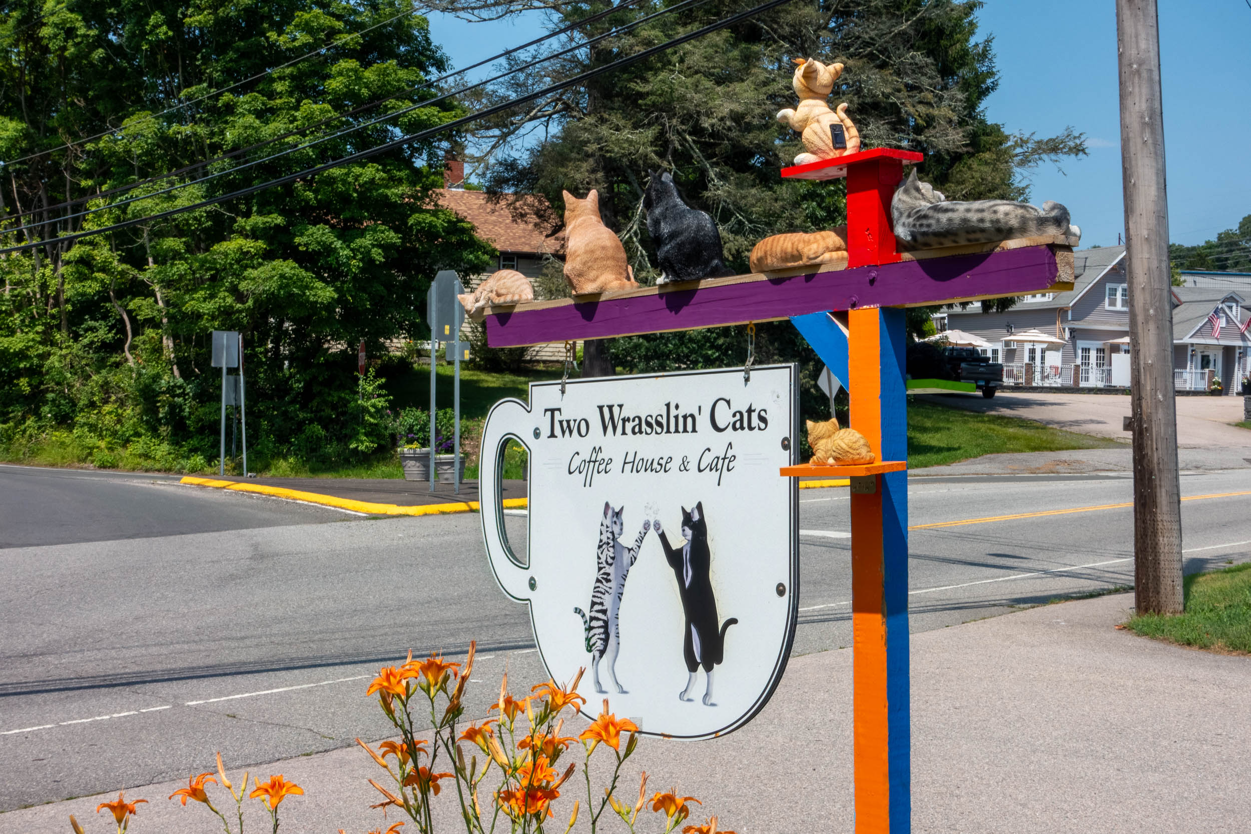 Exploring New Roads and Brews at Two Wrasslin’ Cats Cafe