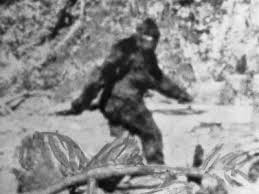 BIGFOOT:  THE LEGEND LIVES