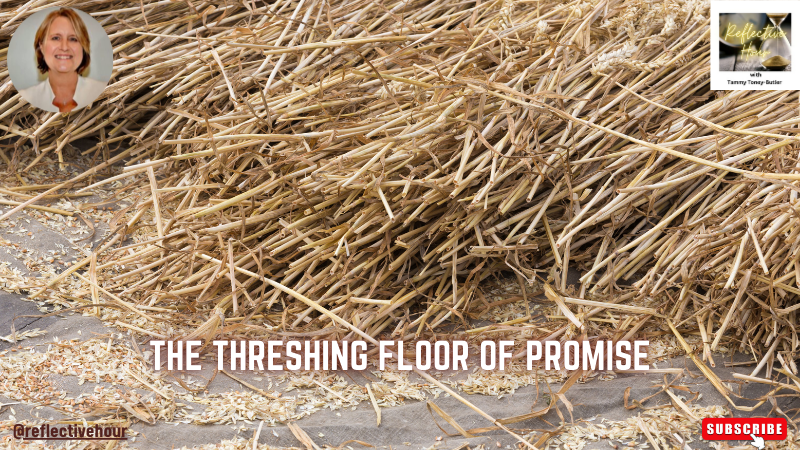 The Threshing Floor of Promise
