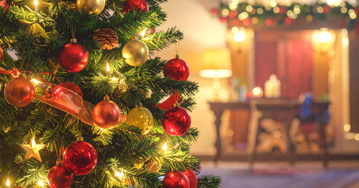 🎄Christmas Coziness — A Peaceful Christmas Night Story | The Slow Life Podcast (# 75)