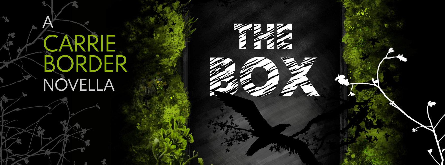 email capture banner