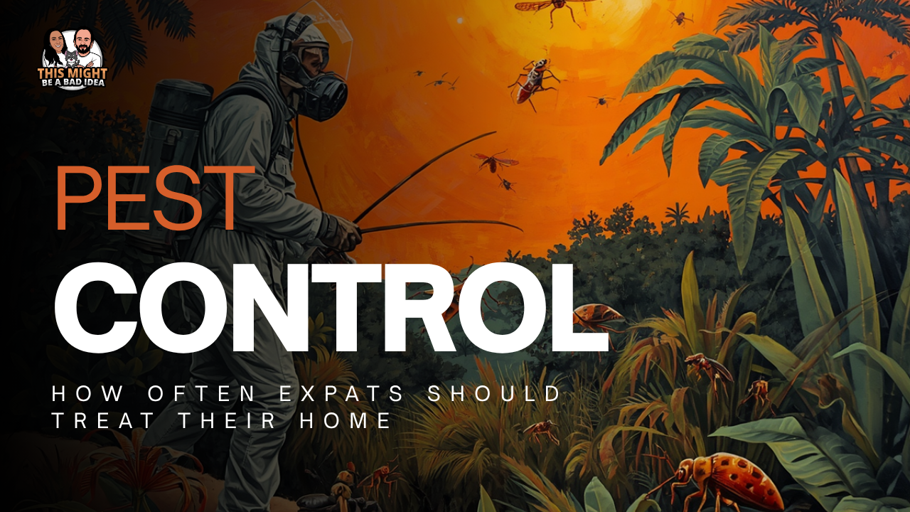 Pest Control in Merida, Mexico: How Often Expats Should Treat Their Home Pest Control in Merida, Mexico: How Often Expats Should Treat Their Home