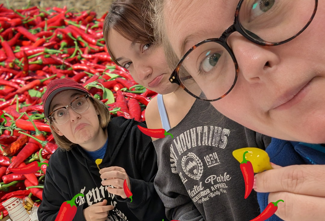 What Makes Food Spicy?