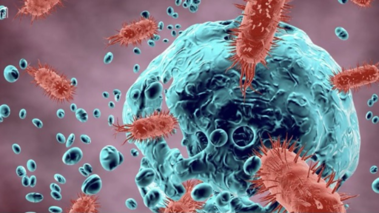 The Lasting Impact of Prescription Drugs on Gut Health