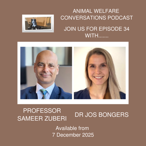 Dr Jos Bongers MSc MVM DipECVN MRCVS Profile Photo