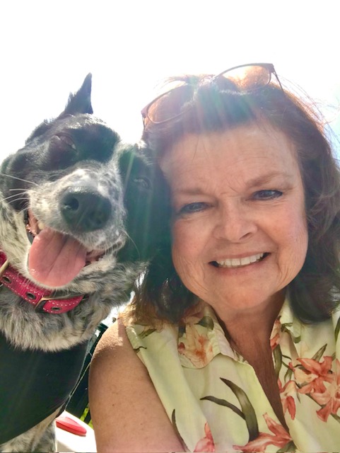 Suzanne S. Gonzalez Profile Photo