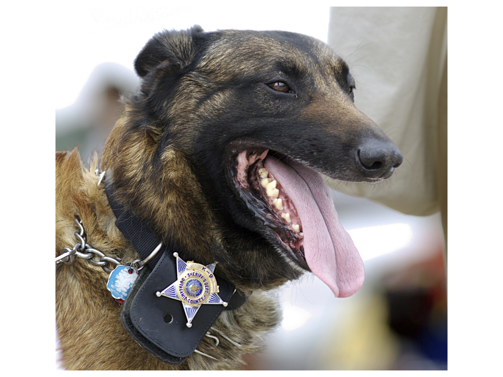 Supporting Our K9 Heroes: Funding Crisis For Police K9 Units Supporting Our K9 Heroes: Funding Crisis For Police K9 Units