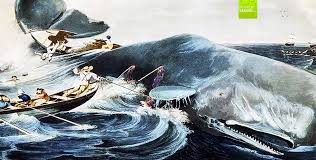 THE HUNT FOR THE REAL MOBY DICK (remastered)