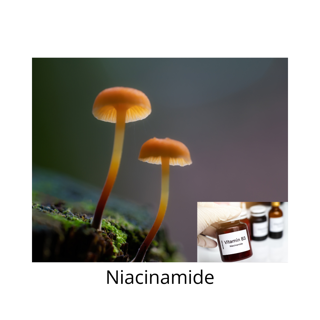 Niacinamide Explained: Skin Barrier Repair, Hydration and Hyperpigmentation Niacinamide Explained: Skin Barrier Repair, Hydration and Hyperpigmentation