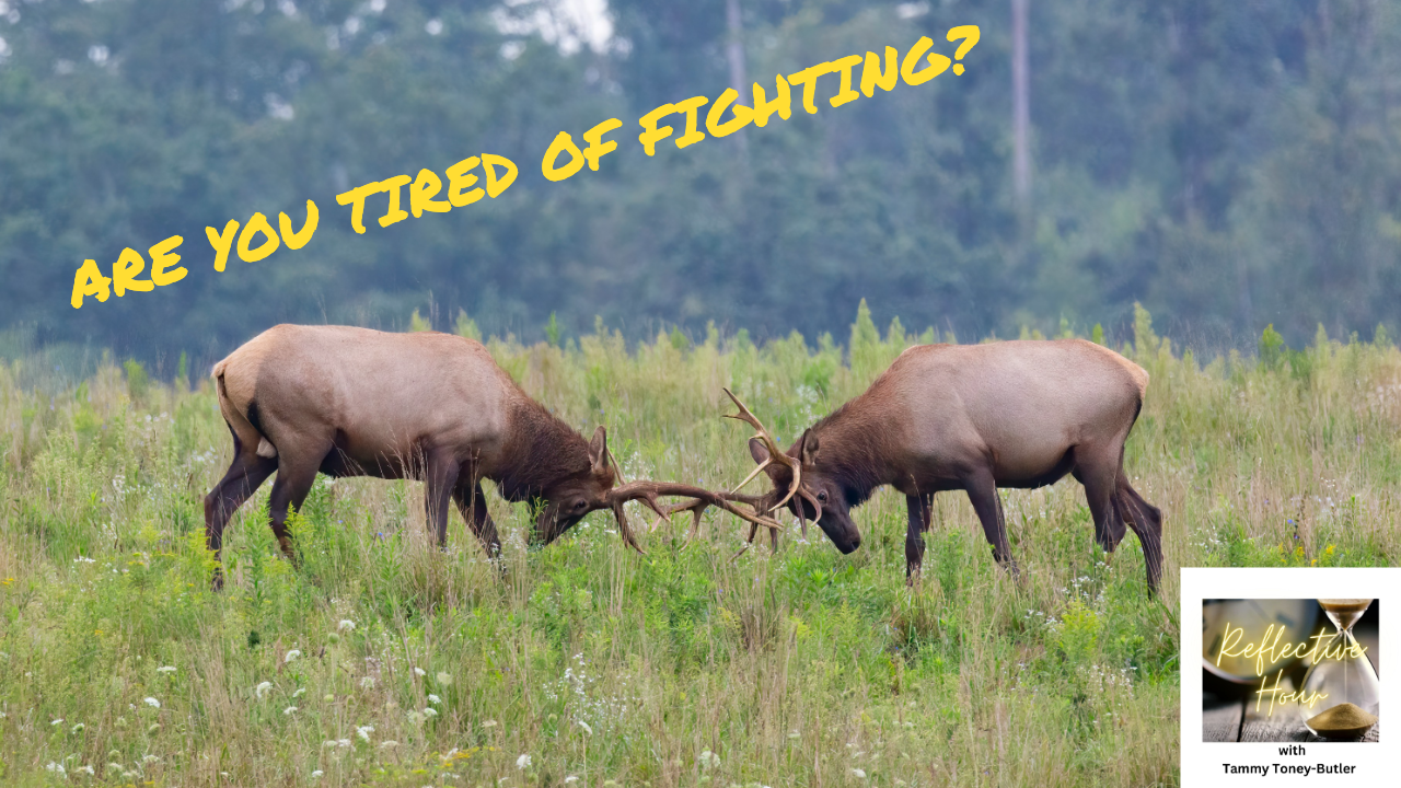 Are you tired of fighting?