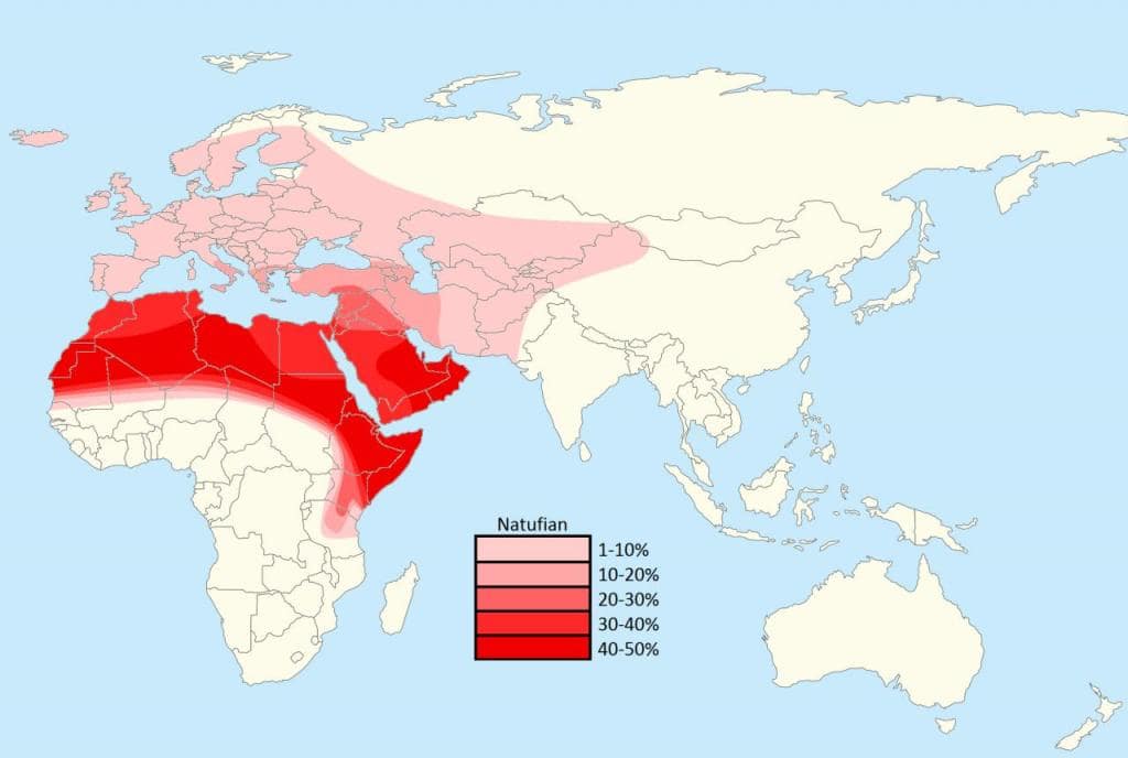 Episode 11 - Proto-Cities