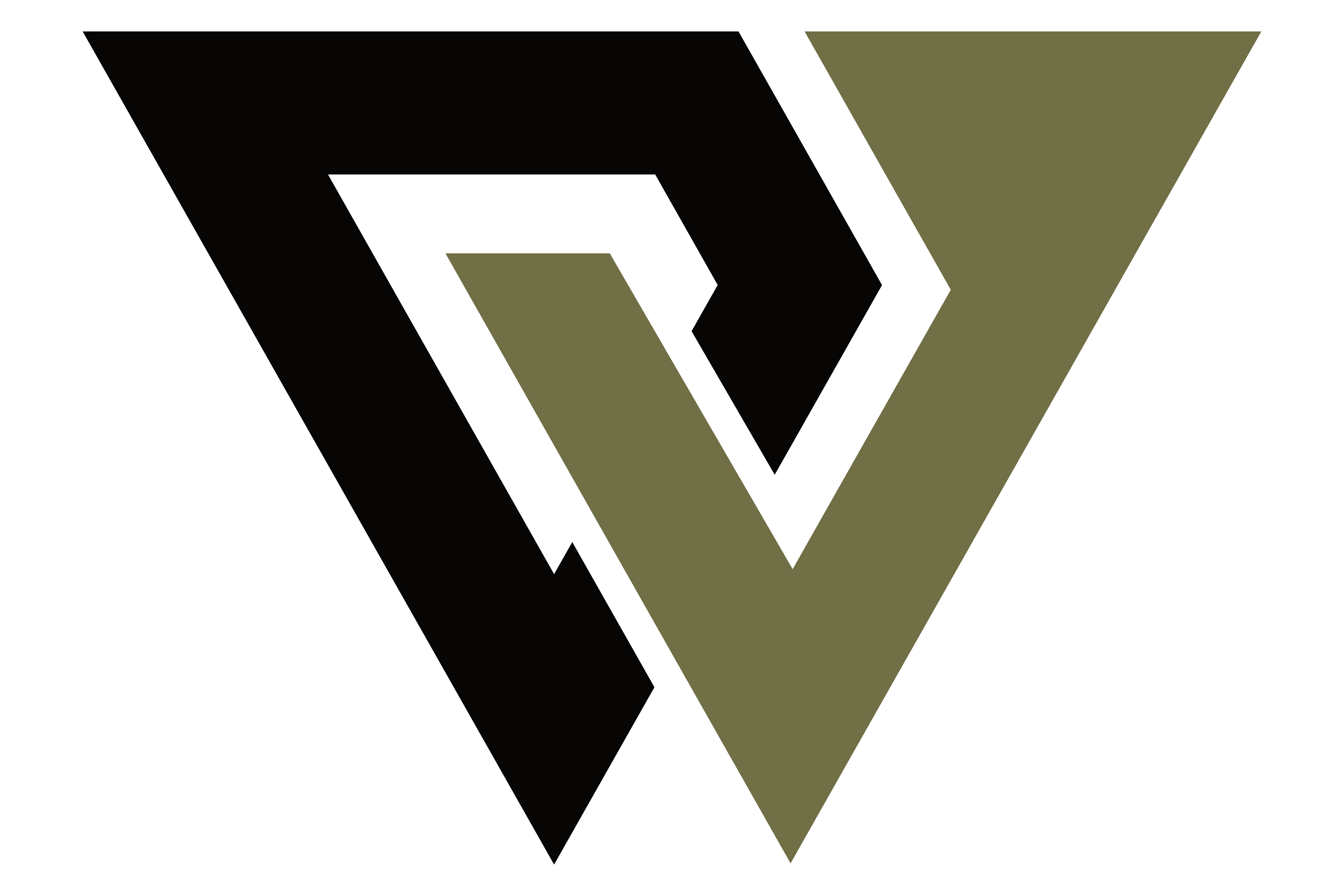 Duty & Valor - Military Stories of Courage and Sacrifice Logo