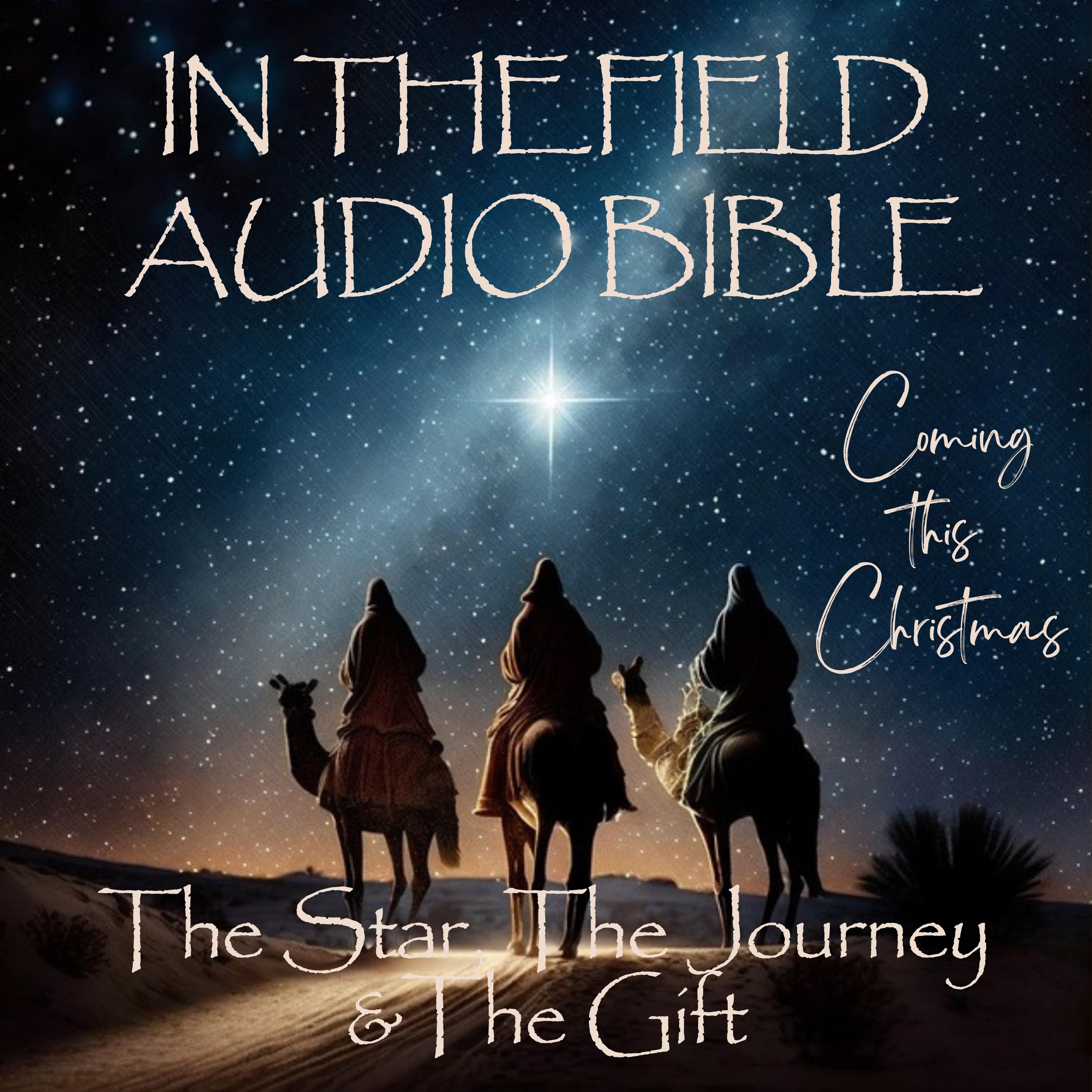 In the Field Audio Bible