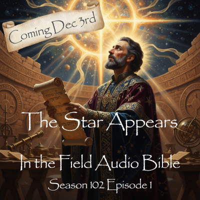 In the Field Audio Bible