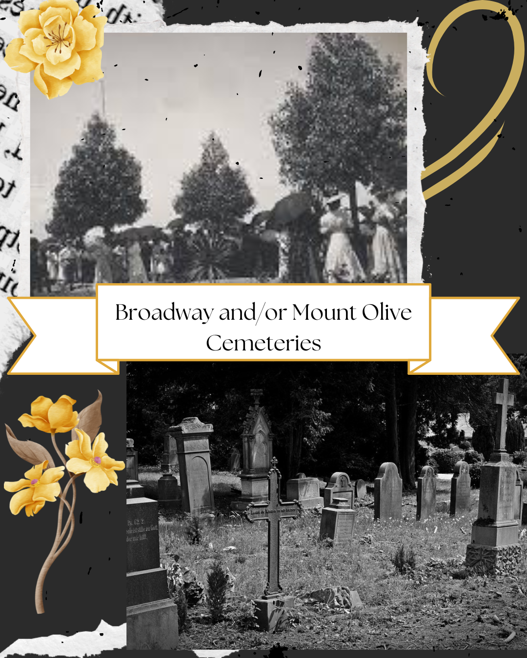 Episode 245 - Beneath the Surface: A Surprising Cemetery Tale