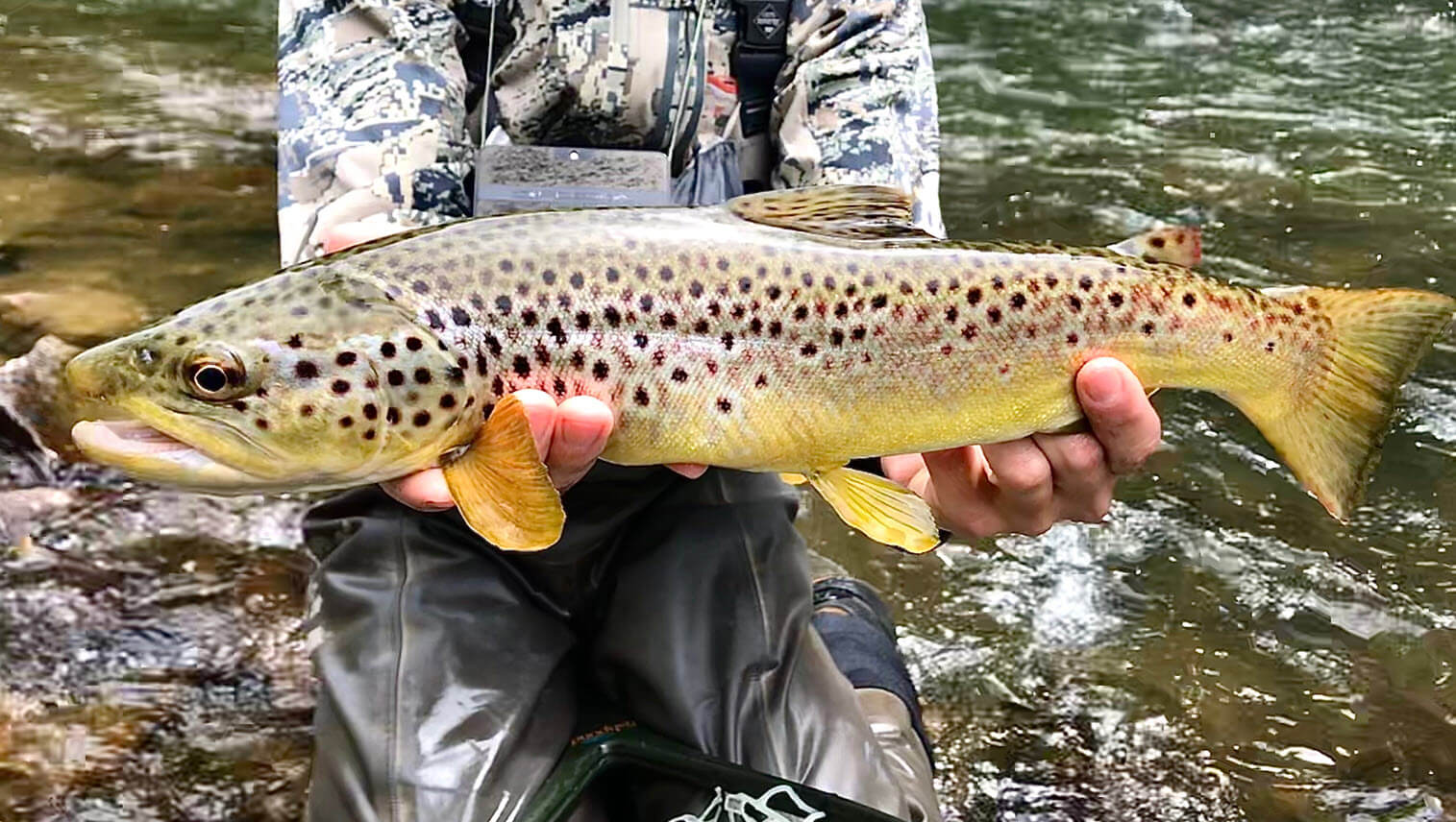 Fly Fishing Penn’s Creek with Jonas Price and Matt Kowalchuk, The Feathered Hook, Coburn, PA