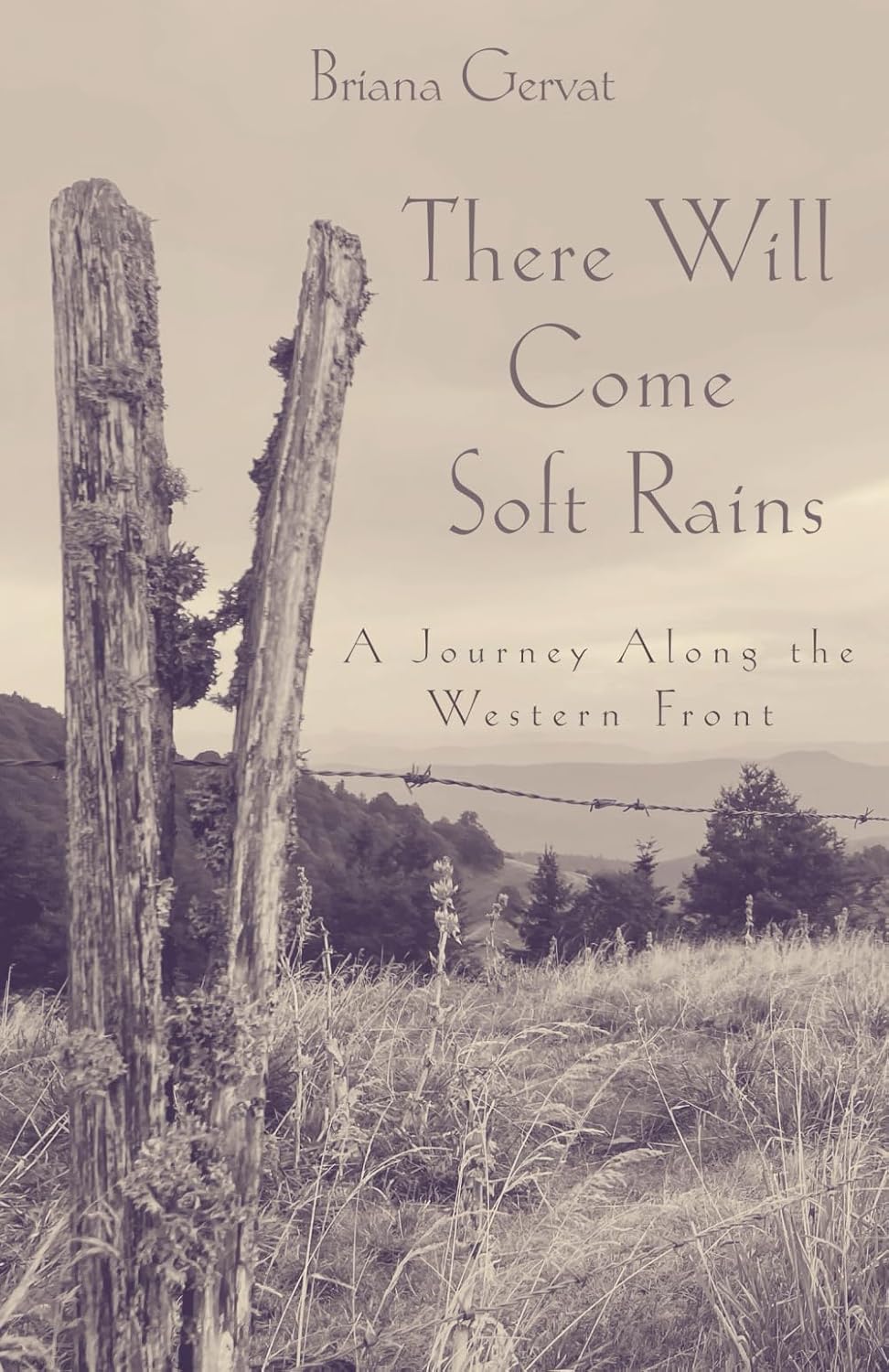 Walking Through History: A Journey Along the Western Front