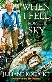 THE GIRL WHO FELL FROM THE SKY