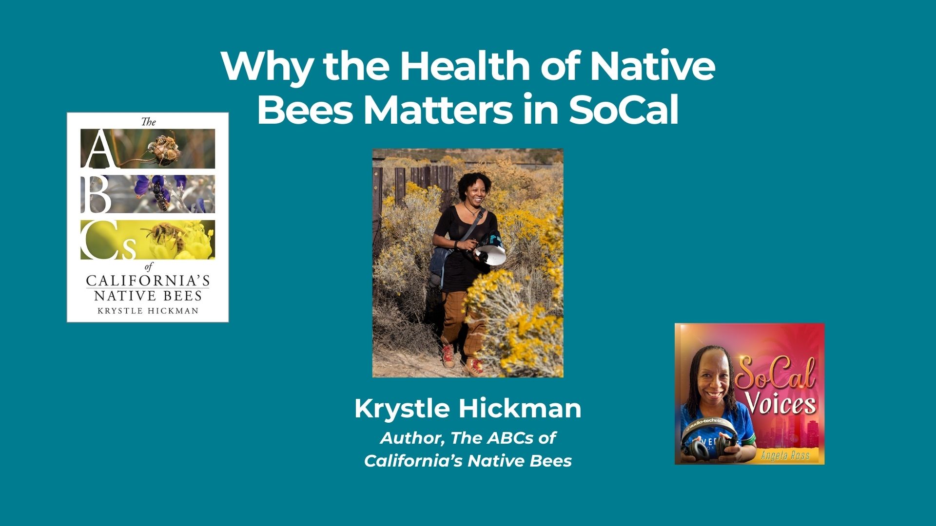 Why the Health of Native Bees Matters in SoCal