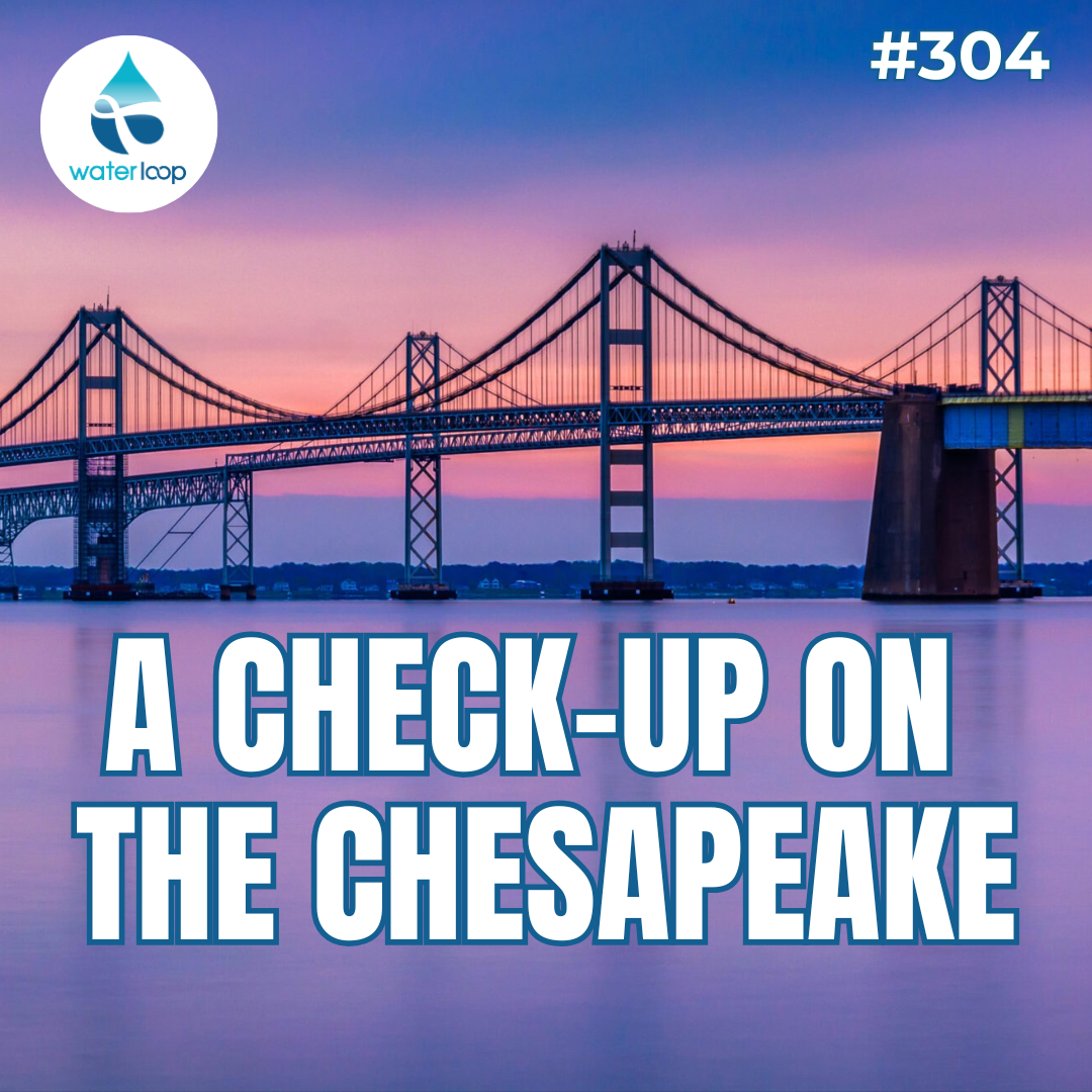 A Check-Up On The Chesapeake: How Is Health Of The Bay?