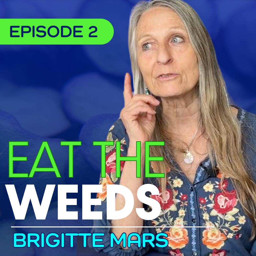 #2 - The Medicine in Your Backyard – Brigitte Mars