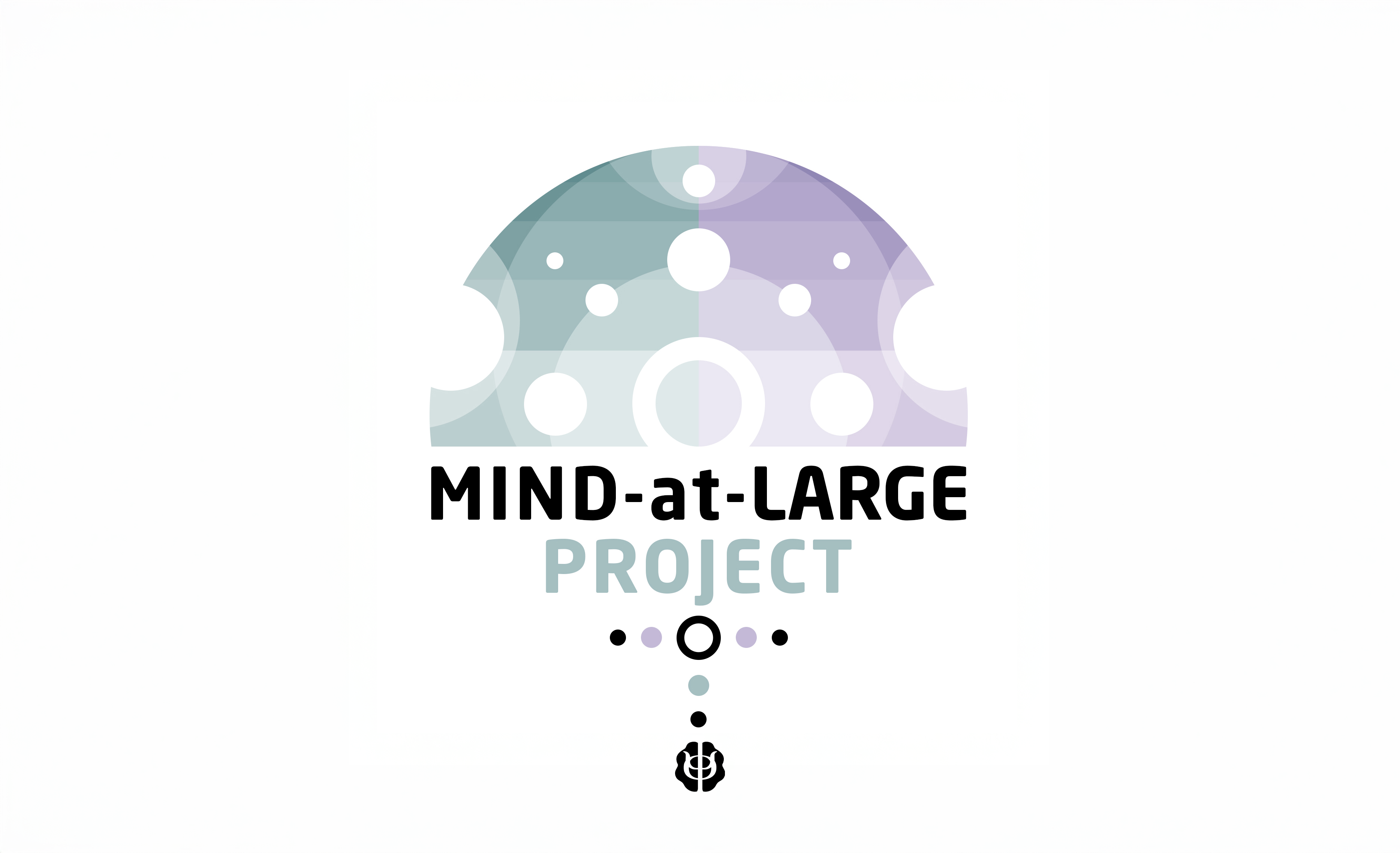 The Mind-at-Large Project: A New Paradigm in Consciousness Research The Mind-at-Large Project: A New Paradigm in Consciousness Research