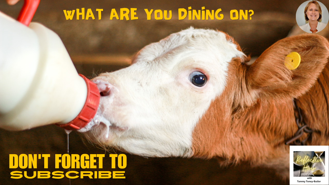 What Are You Dining On?