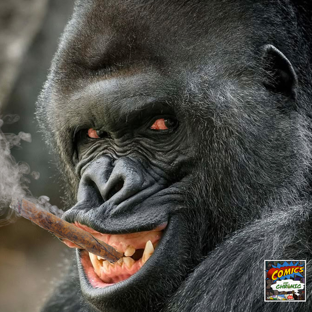 Ep. 288 - Gorilla vs. Chronic