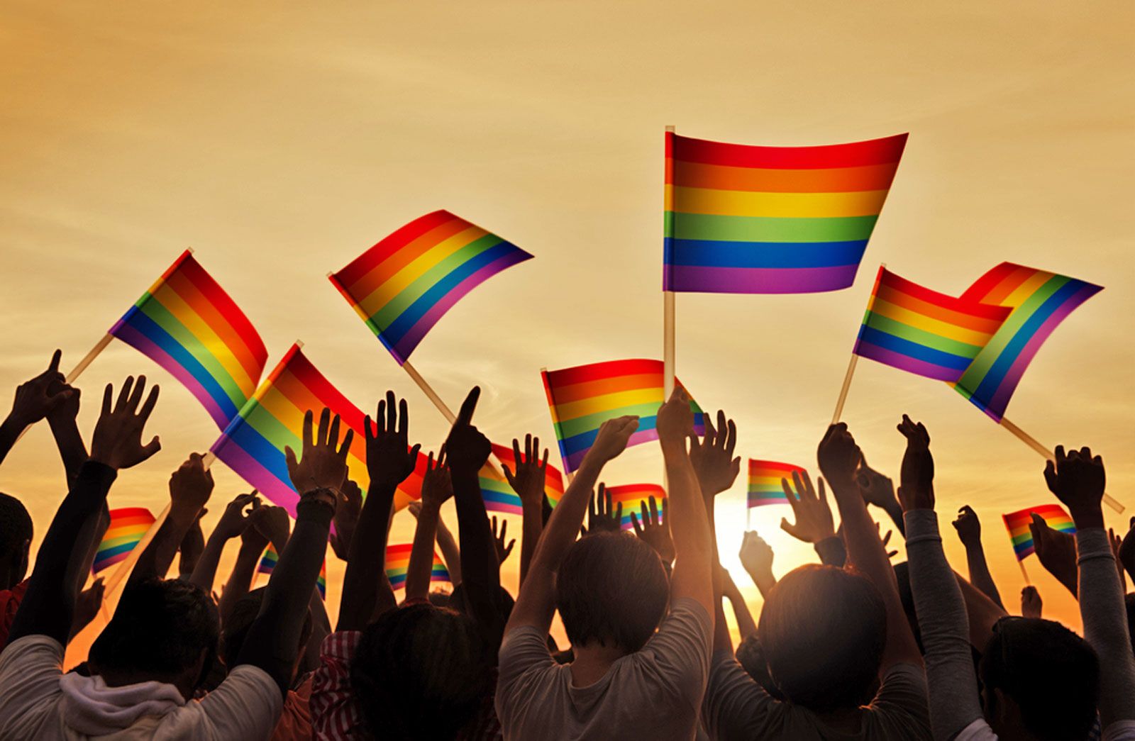 🌈 Why Solidarity Still Matters: A Reflection on LGBTQIA++ Community, History, and Belonging