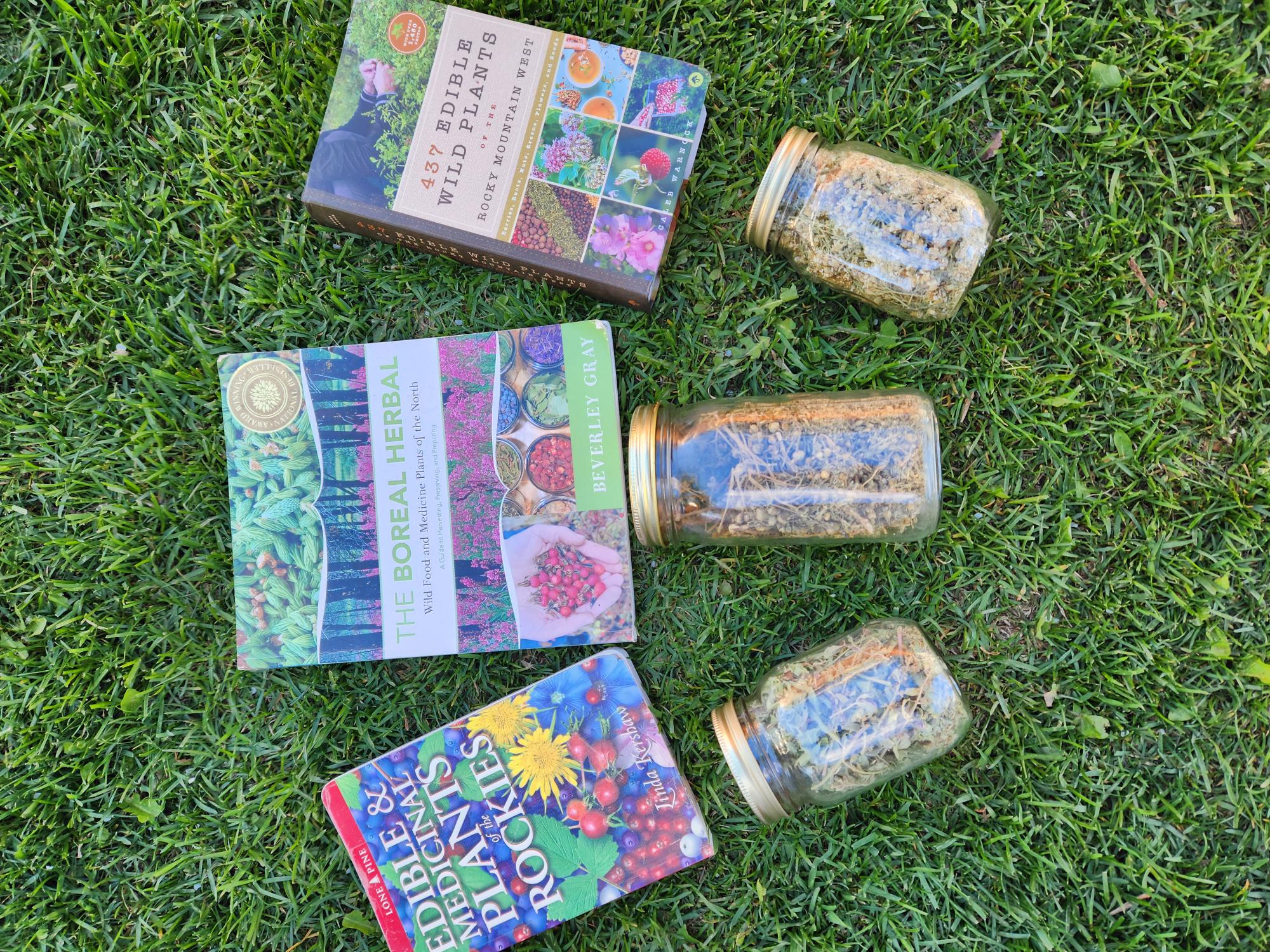 Ep 15- FORAGING the Northern Rockies (Feat. Scott Sunderwald)