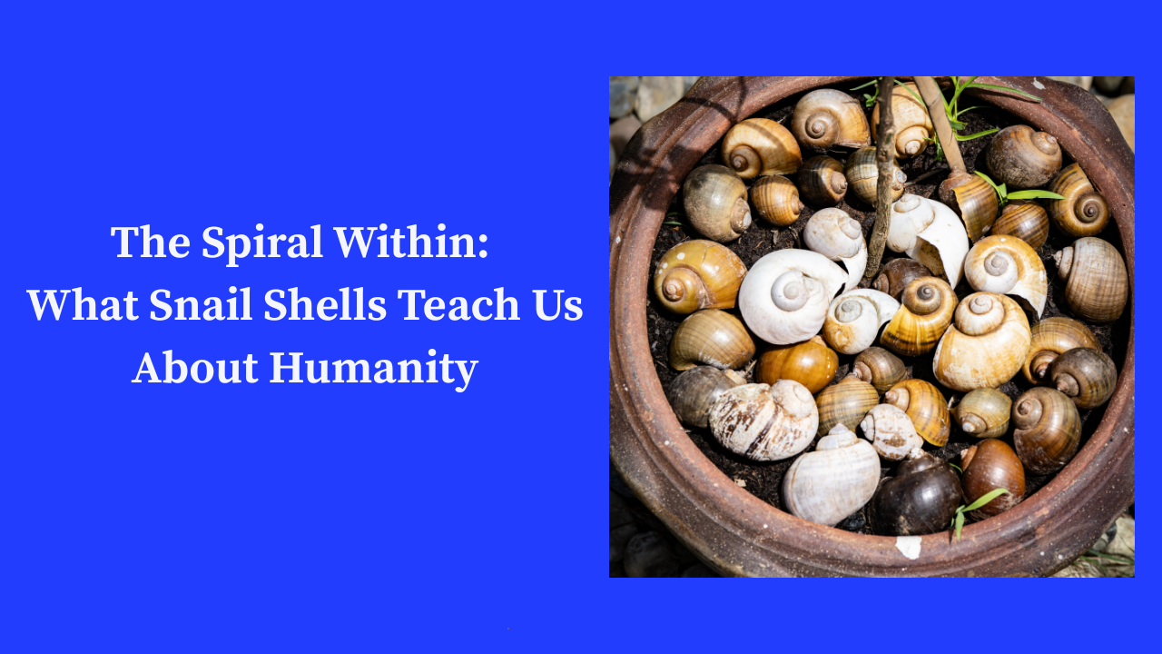 The Spiral Within: What Snail Shells Teach Us About Humanity