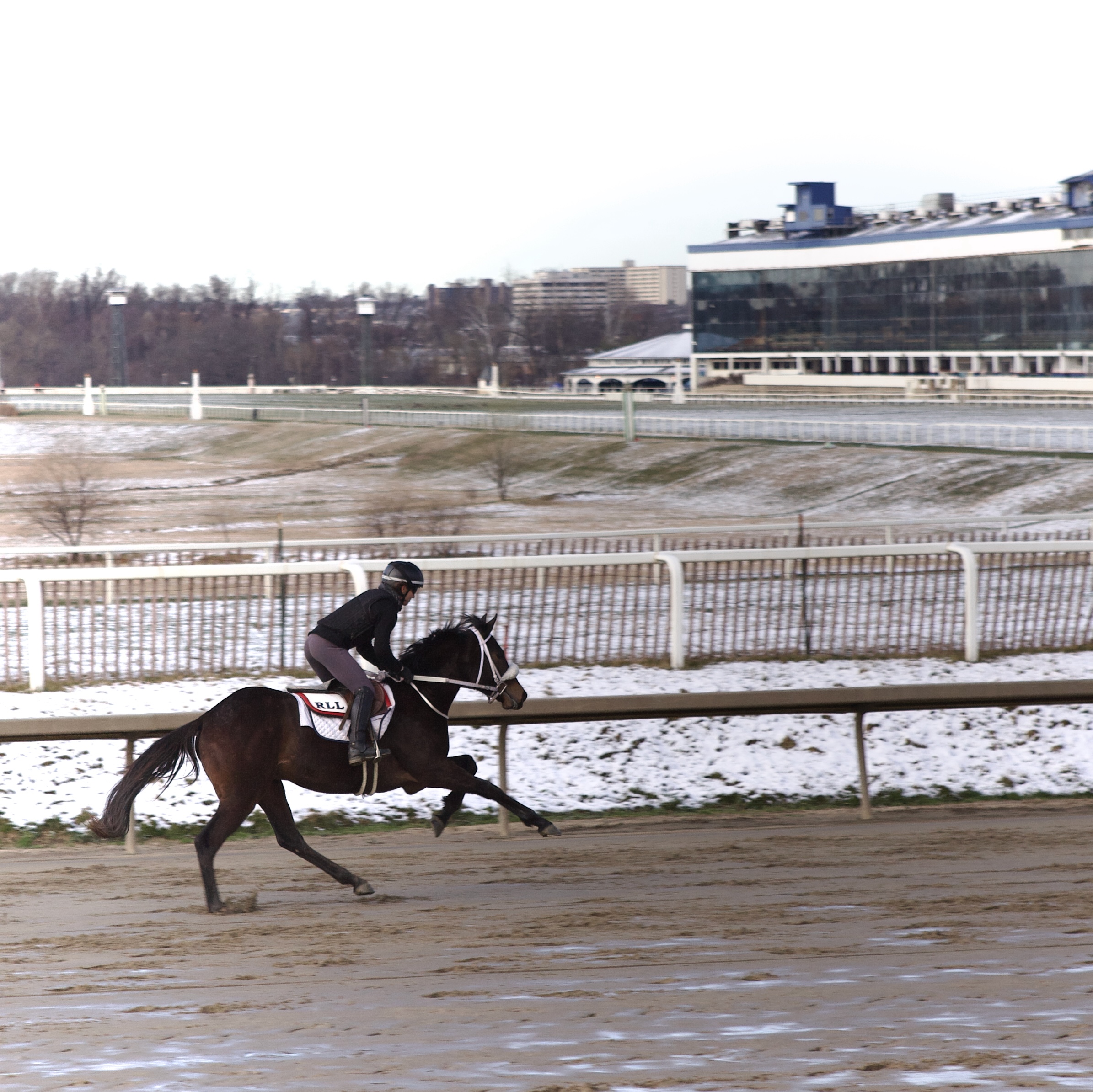 Courtenay Brown Profile Photo