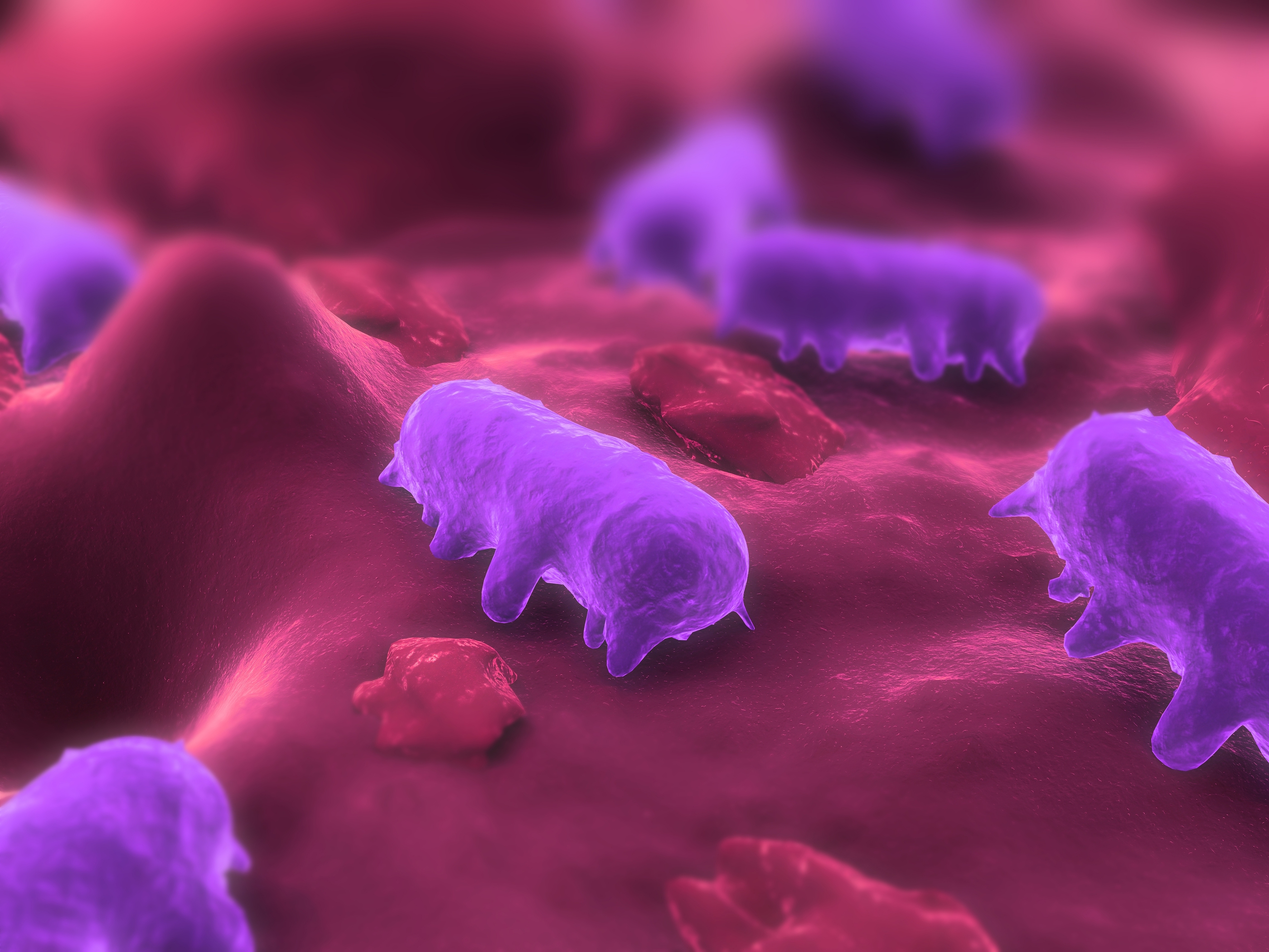 #1 - Cars, Floorboards and Shoes