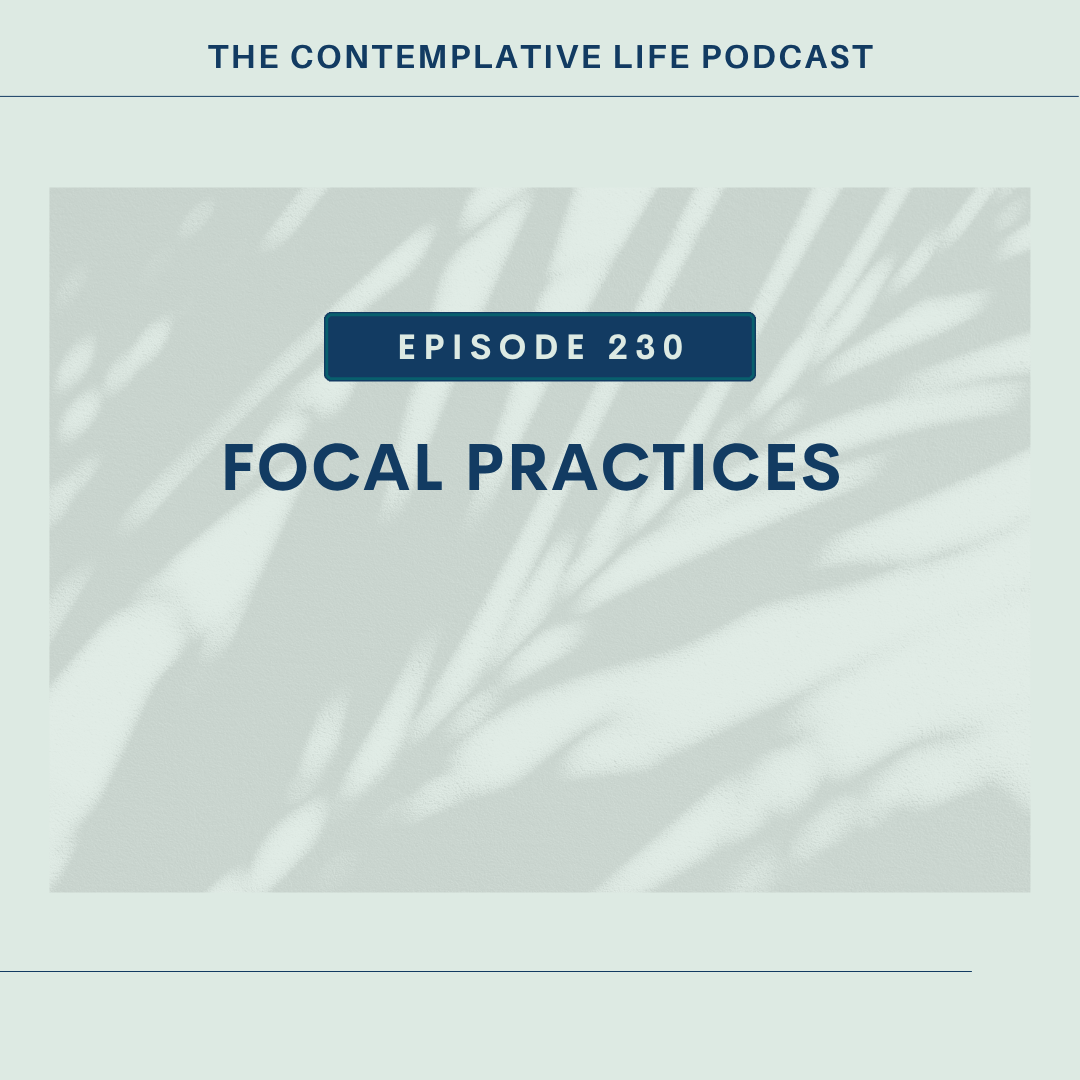 E 230 Focal Practices