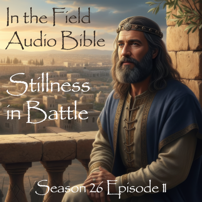 Stillness in Battle: Confidence Beneath Heaven’s Rule