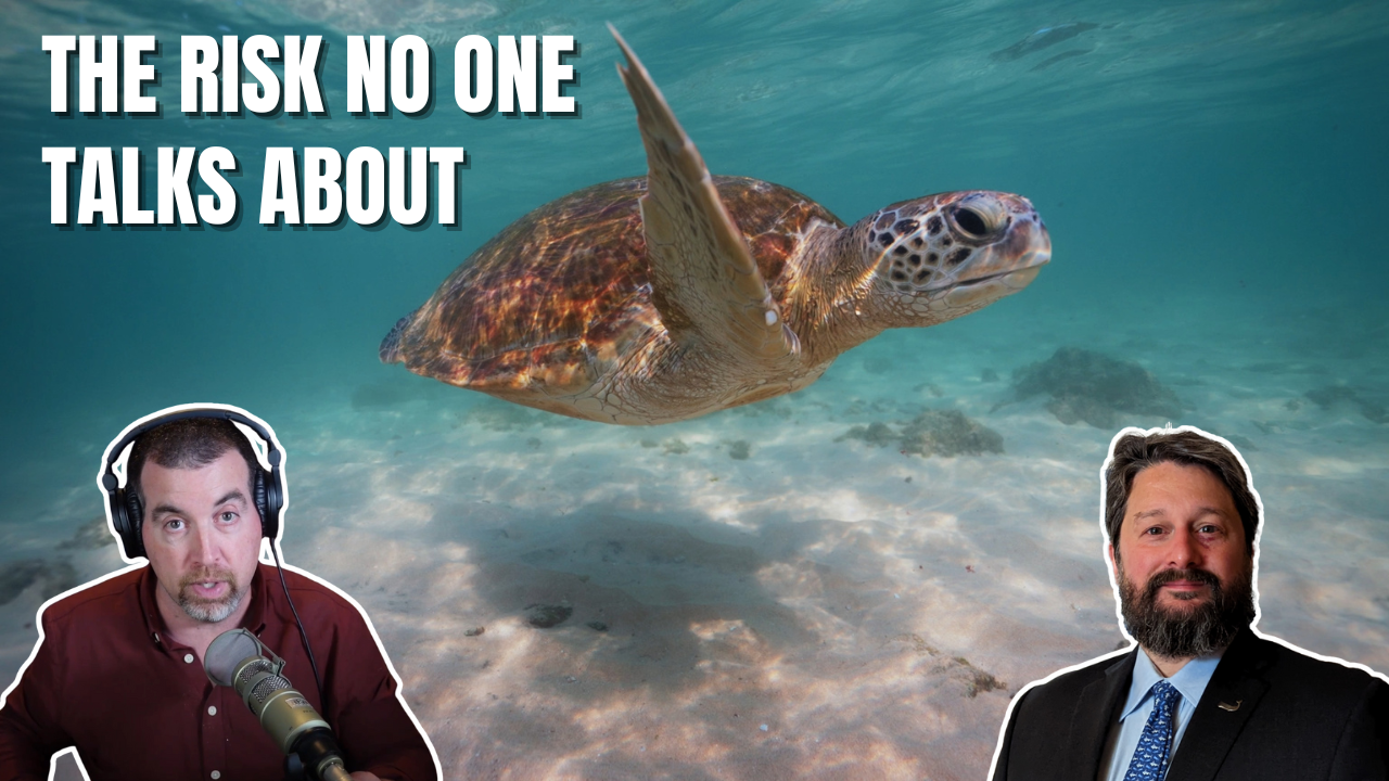 Could Deep Sea Mining Break the Ocean’s Wildlife Highways?