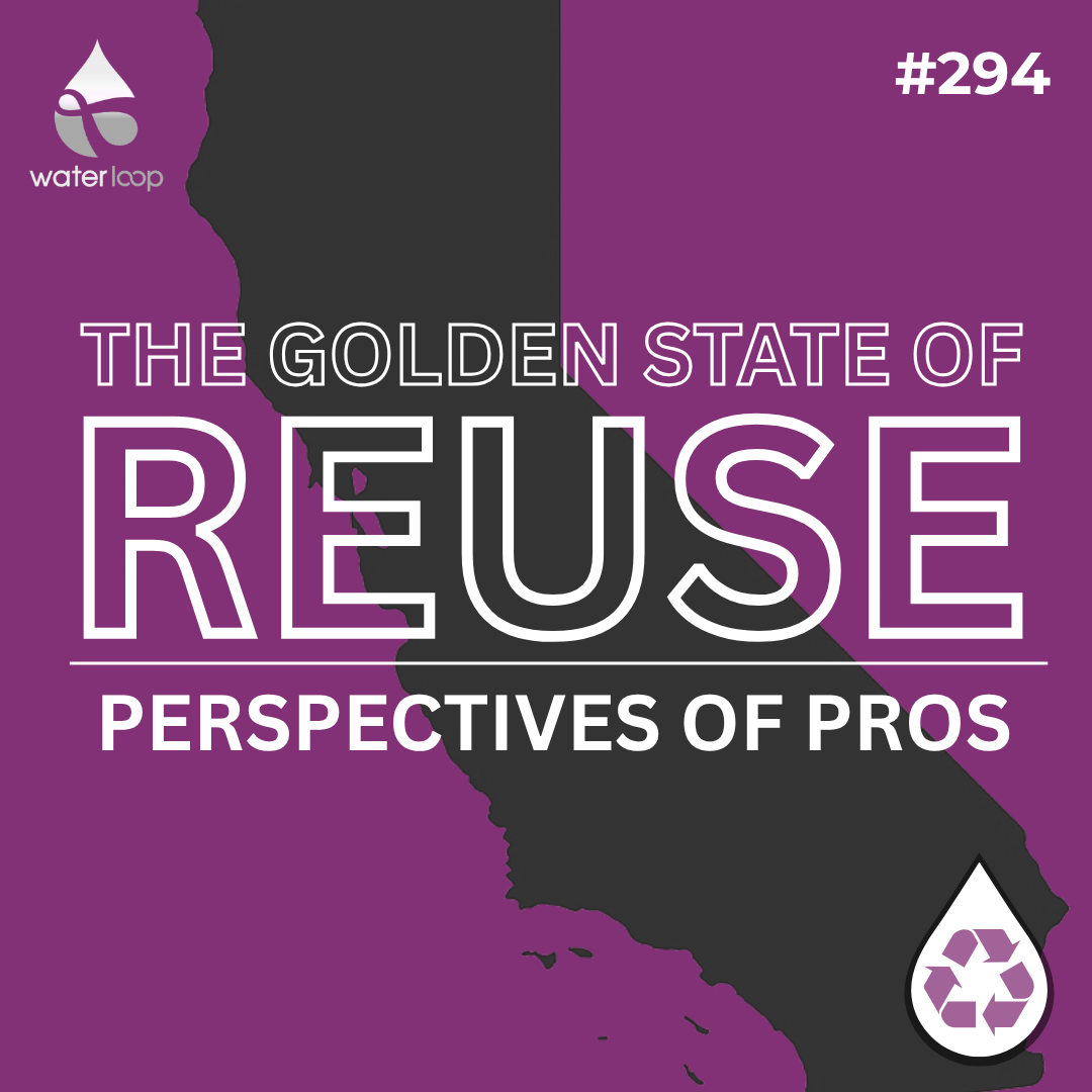 Perspectives of Professionals on California's Recycling Renaissance | The Golden State of Reuse