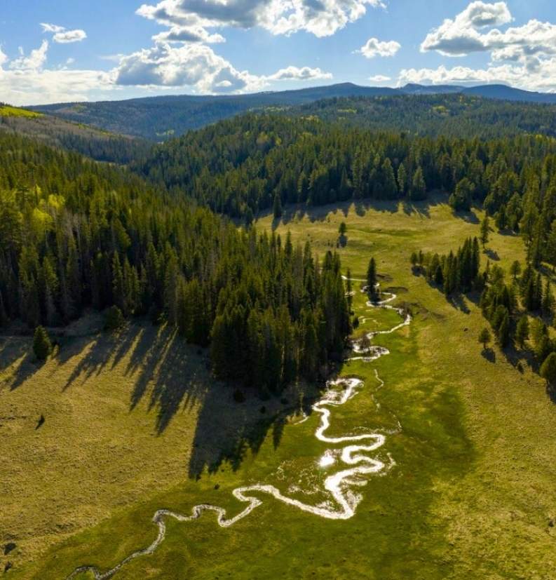 Public Lands on the Line with Chris Wood, CEO of Trout Unlimited Public Lands on the Line with Chris Wood, CEO of Trout Unlimited