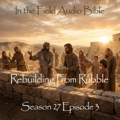 Rebuilding From Rubble: The City That Would Not Quit
