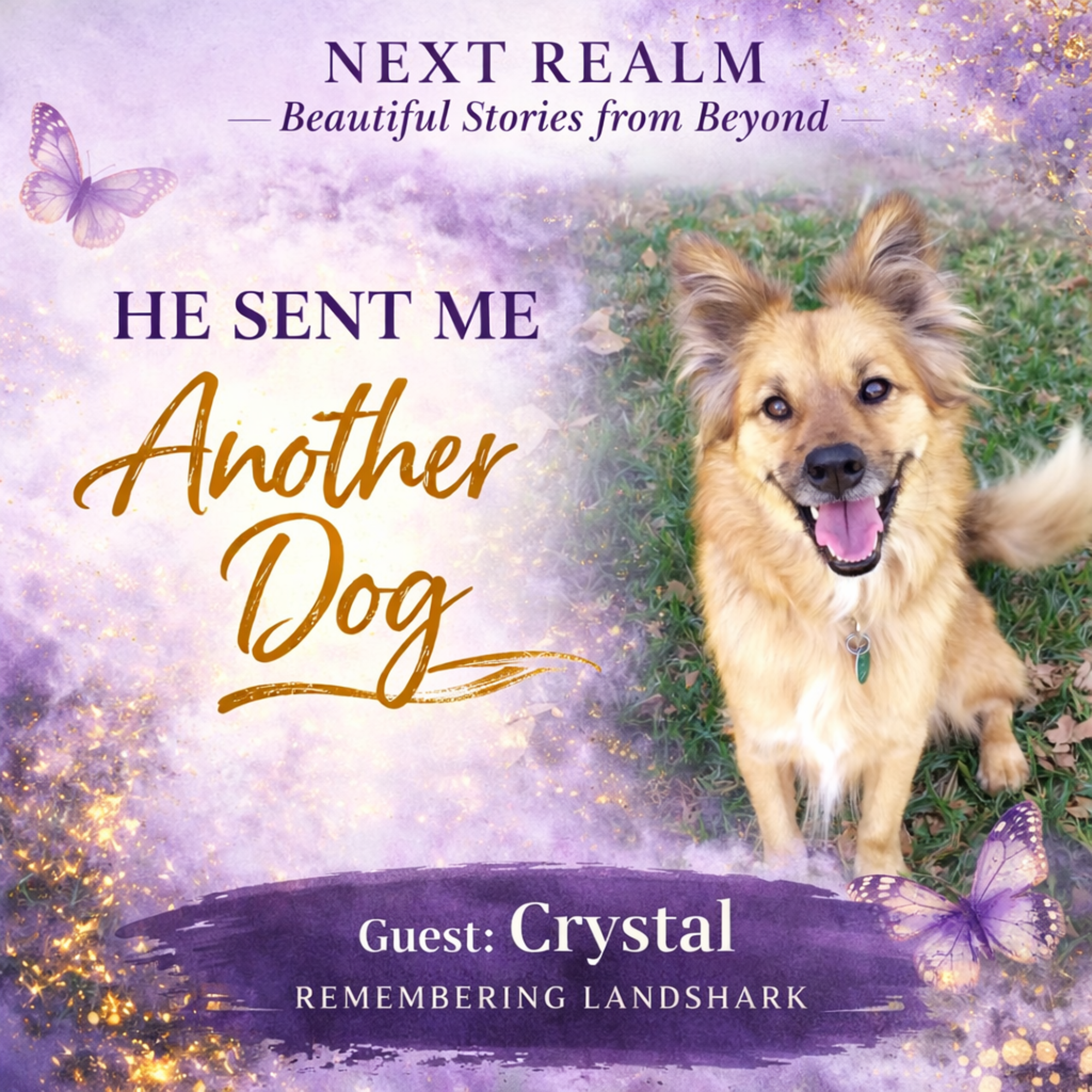 Messages From Beyond: Signs From a Pet After Death (Part 2)