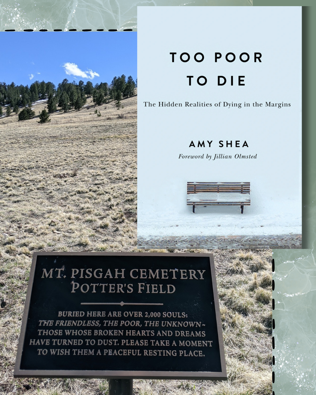 Episode 247 - Too Poor to Die: A Conversation with Amy Shea Episode 247 - Too Poor to Die: A Conversation with Amy Shea
