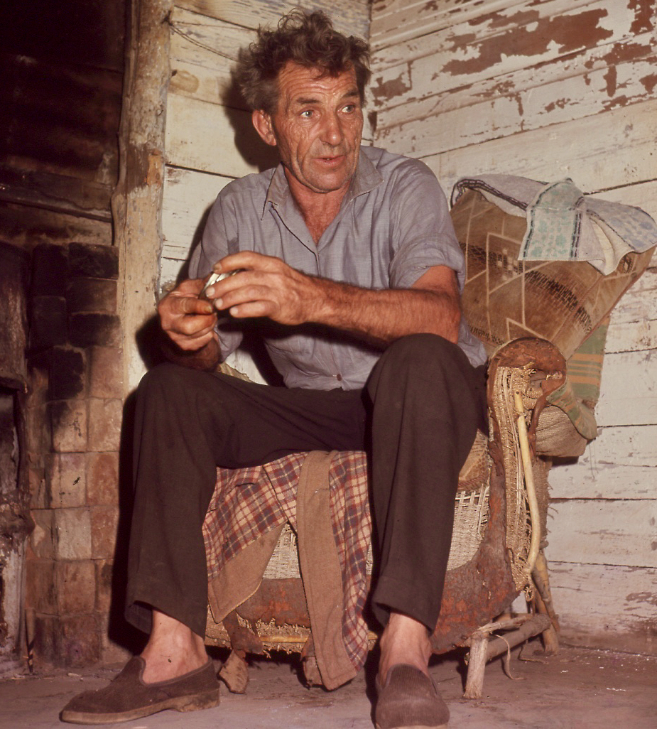 Who’s the nutty one? Chasing a bus, or serenely alone?