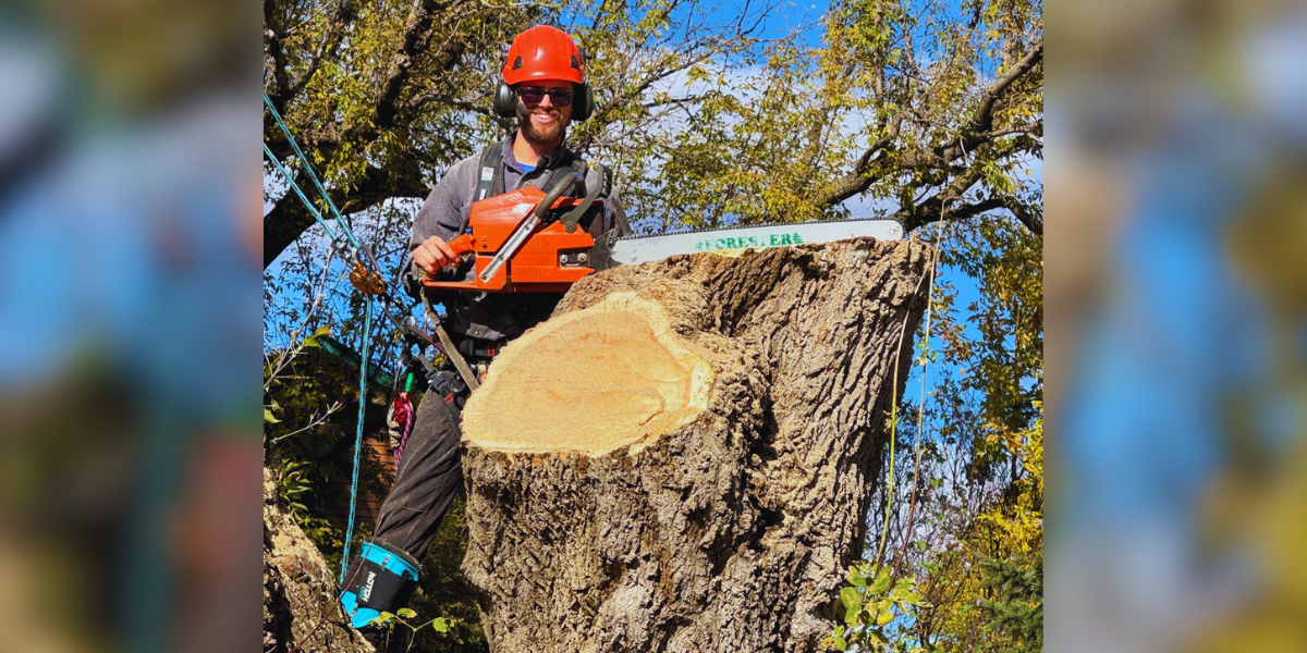From Injury to Industry Leader: How Brandon Pankey Grew a Thriving Arborist Business