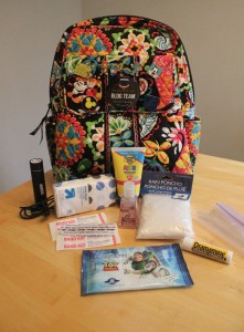 Be Prepared in the Parks!