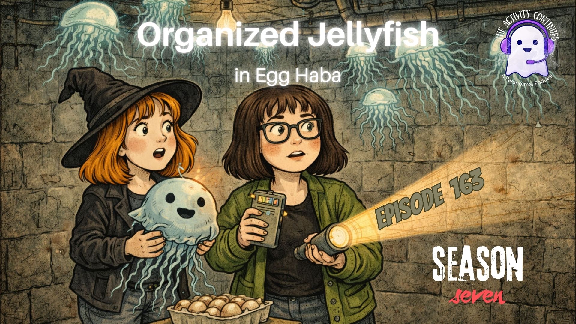 Organized Jellyfish, Basement Dread & Deviled Eggs