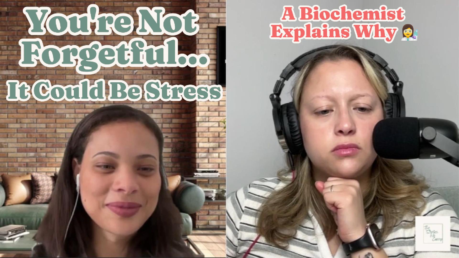 Strengthen Your Memory and Shield It From Stress
