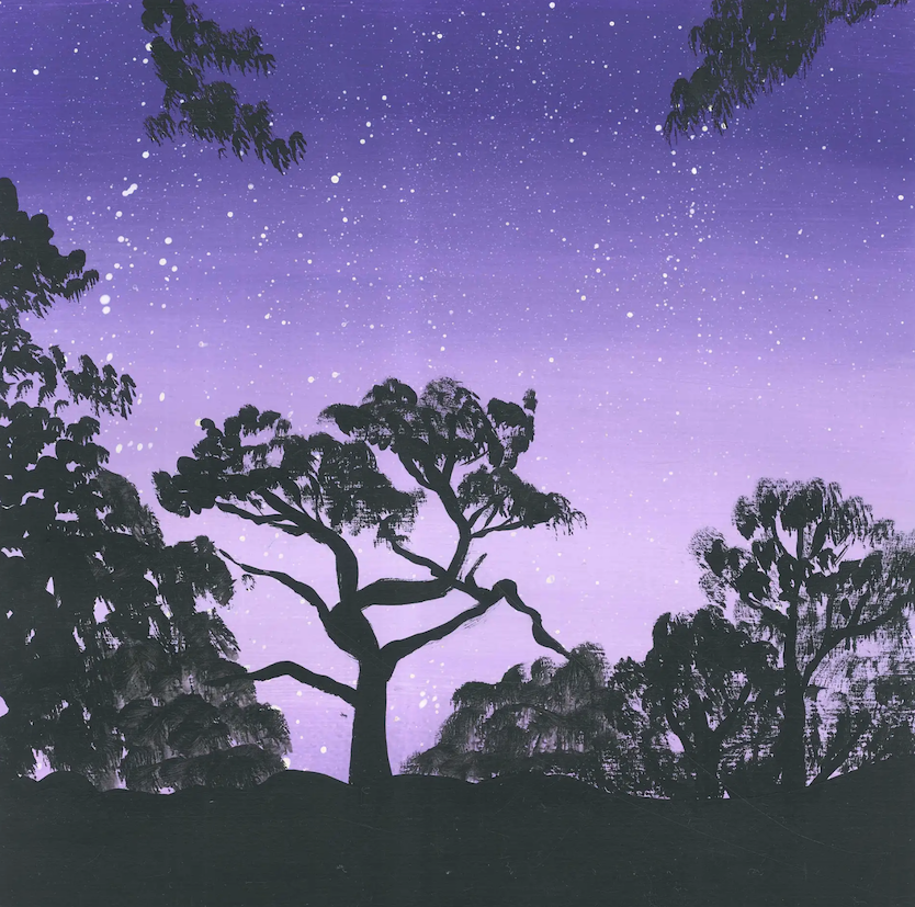 🎧 Soundscape | Amazon After Dark: A Night in Kichwa Territory, Ecuador
